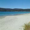 Tasmania, Adventure Bay beach, grass