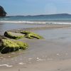 Tasmania, Adventure Bay beach, wet sand