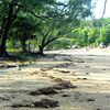 Townsville, Magnetic, Florence Bay beach, trees