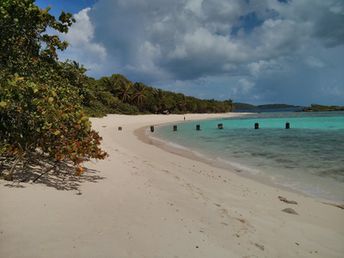 American Virgin Islands (USVI), St. John island, Denis Bay beach, eastern part