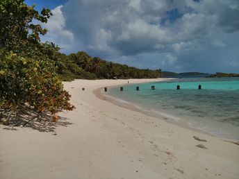 American Virgin Islands (USVI), St. John island, Denis Bay beach, eastern part