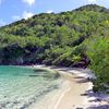 American Virgin Islands (USVI), St. John island, Jumbie Bay beach, trees