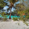 British Virgin Islands (BVI), Jost Van Dyke island, White Bay, Ivan's Campground, beach garden