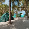 British Virgin Islands (BVI), Jost Van Dyke island, White Bay, Ivan's Campground, tent