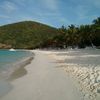 British Virgin Islands (BVI), Jost Van Dyke island, White Bay, palm beach