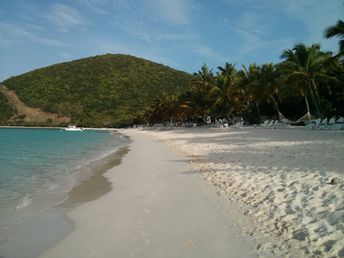 British Virgin Islands (BVI), Jost Van Dyke island, White Bay, palm beach