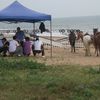 China, Shandong, Rizhao beach, picnic