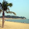 China, Xiamen beach, palms