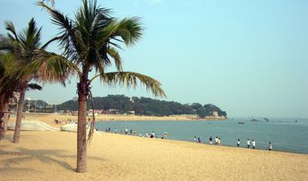 China, Xiamen beach, palms