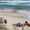 Formentera, Migjorn beach, fence