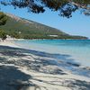 Mallorca, Formentor beach, tree shadow