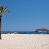 Mallorca, Magaluf beach, palms
