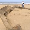 Morocco, Plage Blanche, whale skeleton