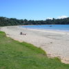 New Zealand, Waiheke island, Oneroa beach, grass