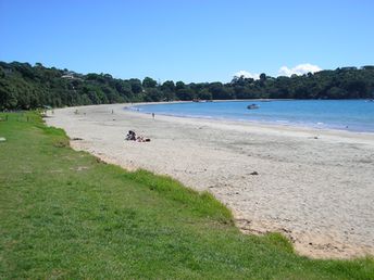 New Zealand, Waiheke island, Oneroa beach, grass