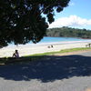 Новая Зеландия, остров Уайхеки, пляж Онероа, под деревом