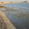 Qatar, Dukhan beach, low tide