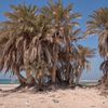 Qatar, Umm Bab beach