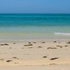 Qatar, Umm Bab beach, wet sand