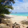 Seychelles, Mahe island, Anse Soleil beach, snag