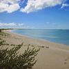Antigua and Barbuda, Barbuda, 11 Mile beach, bush