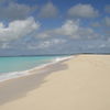 Antigua and Barbuda, Barbuda, 11 Mile beach, wet sand