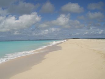 Antigua and Barbuda, Barbuda, 11 Mile beach, wet sand