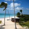 Antigua and Barbuda, Barbuda, Lighthouse bay beach, palm