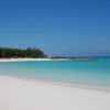 Bahamas, Eleuthera island, Ben Bay beach, trees
