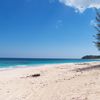 Багамы, остров Элеутера, пляж Пинк Сэнд бич (Попони бич)