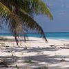 Bahamas, Eleuthera island, Poponi beach