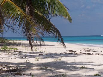 Багамы, остров Элеутера, пляж Попони