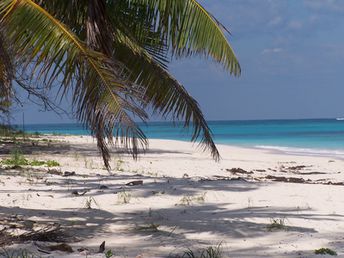 Bahamas, Eleuthera island, Poponi beach