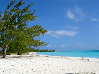 Bahamas, Long Island, Gordon’s beach