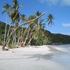 Colombia, Providencia island, Manzanillo beach, white sand