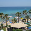 Cyprus, Fig Tree Bay beach, palm trees
