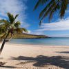 Остров Пасхи, пляж Anakena, кривая пальма
