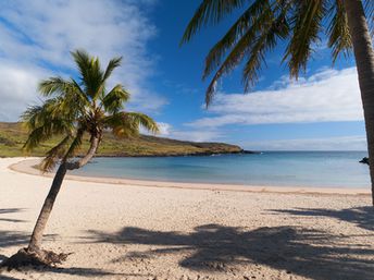 Easter Island, Anakena beach, curve palm