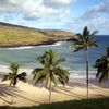 Easter Island, Anakena beach, palm trees