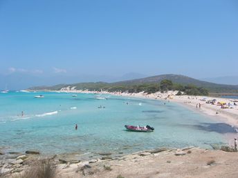 France, Corsica island, Saleccia beach, stones