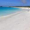 Galapagos islands, Espanola island, Gardner Bay, beach