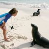 Galapagos islands, Espanola island, Gardner Bay, seal