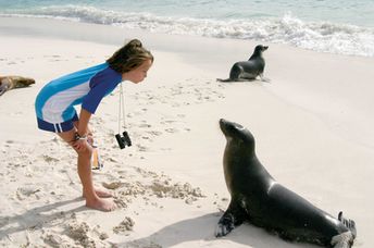 Galapagos islands, Espanola island, Gardner Bay, seal