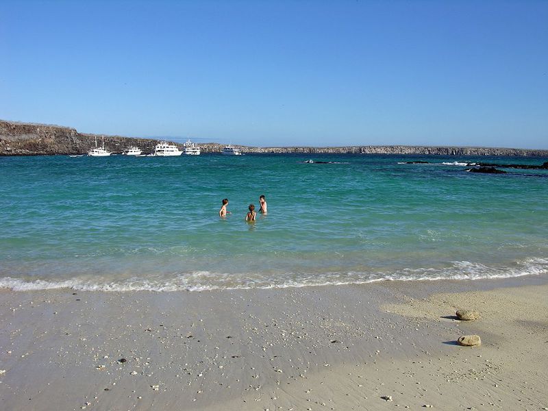 Genovesa island, Galapagos islands, Ecuador Ultimate guide (March 2025)