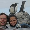 Galapagos islands, Isabela island, Puerto Villamil, penguins