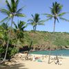 Hawaii, Oahu island, Hanauma Bay beach, palm trees