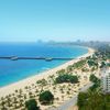 Iran, Kish island, beach, palm trees