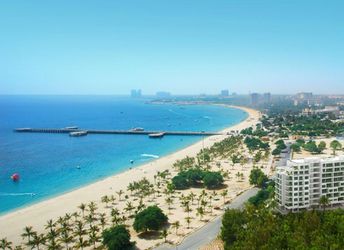 Iran, Kish island, beach, palm trees