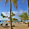 Jamaica, Montego Bay, Doctor's Cave beach, palm trees