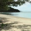 Japan, Ishigaki island, Sukuji beach, under the tree